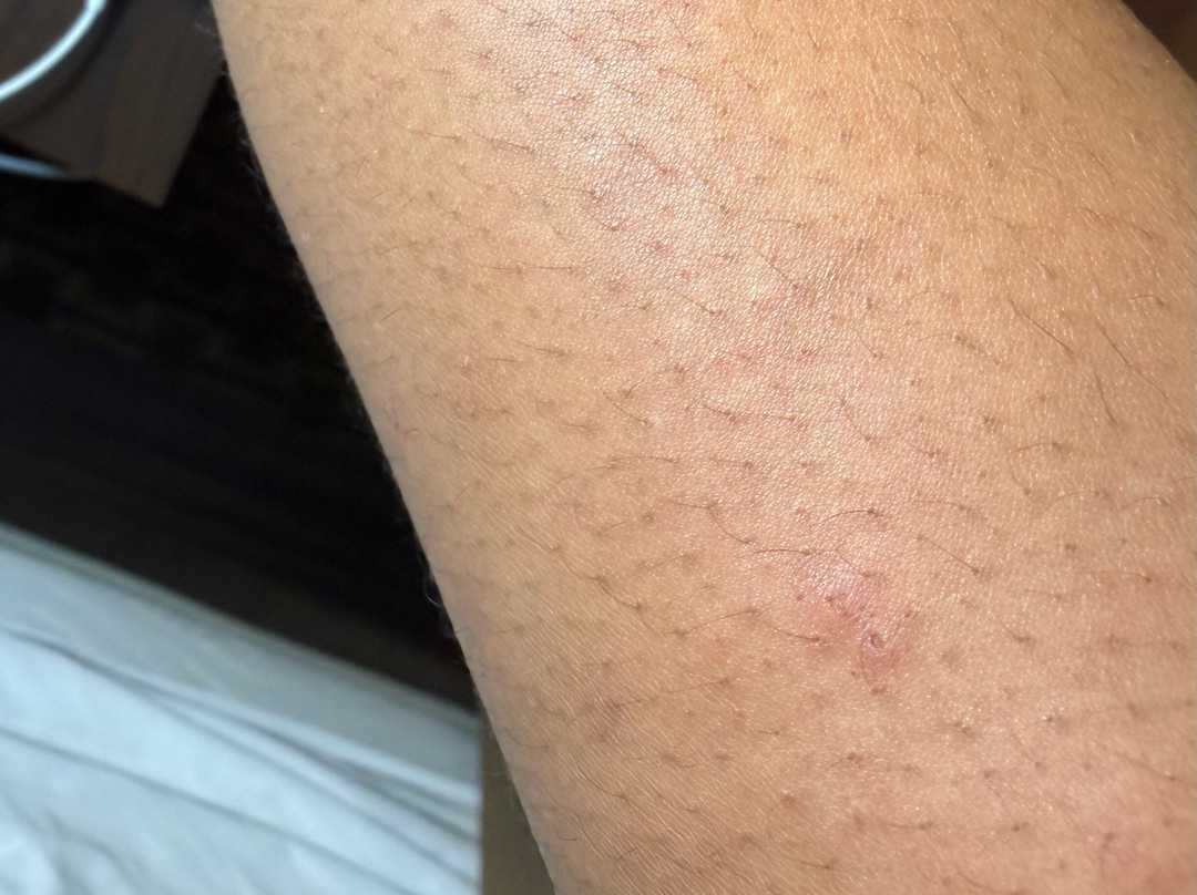 Quality Inn Burkeville Hwy 360 & 460主图