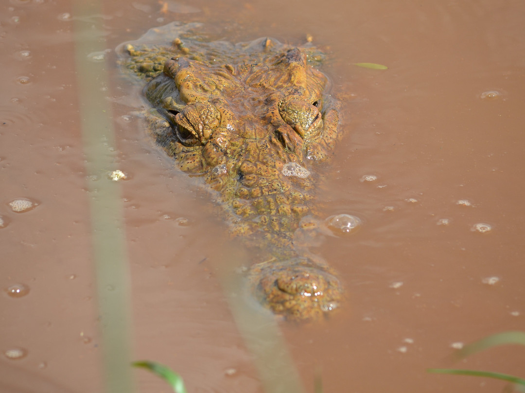 Max Discovery Kenya-瓦塔木必去景点