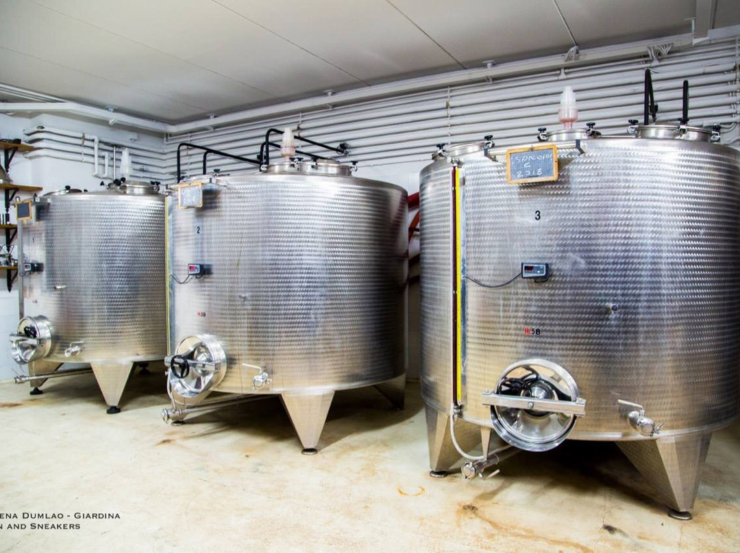 Fabrizio Pratesi Winery-Seano必去景点