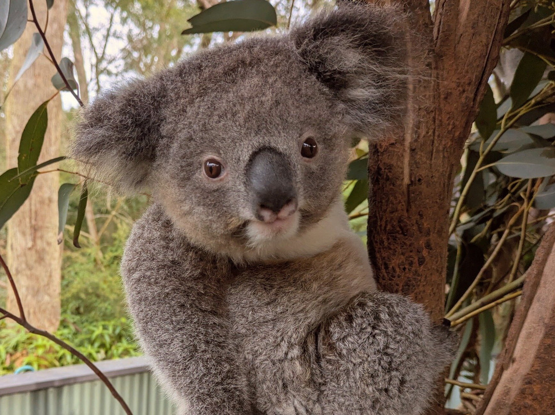 Personalised Sydney Tours-悉尼必去景点