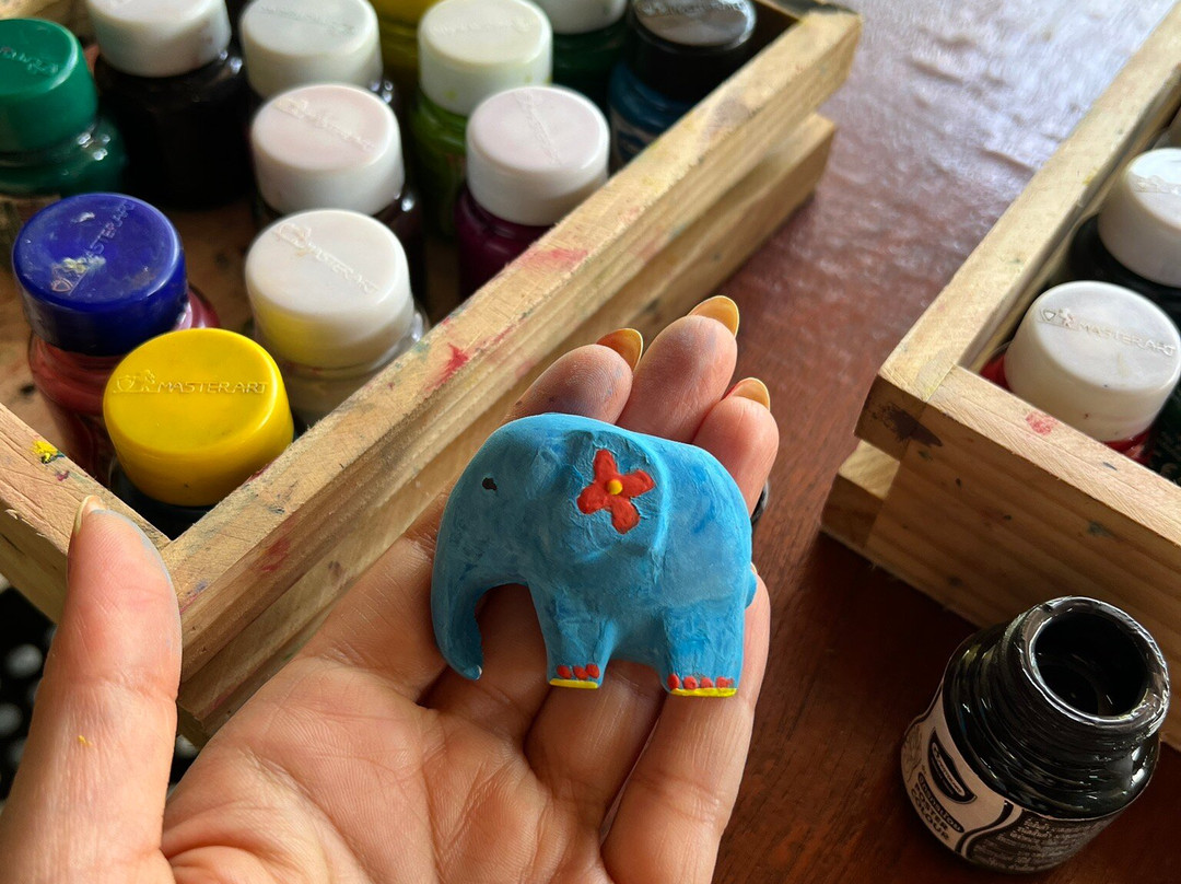 Phuket Elephant Care-奈通必去景点