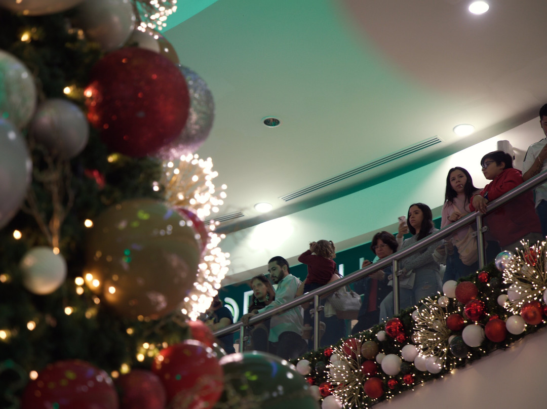 Centro Comercial Altaria-阿瓜斯卡达特斯必去景点