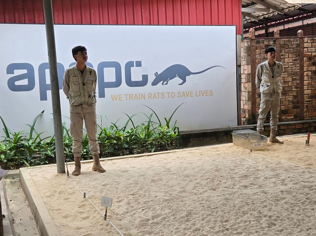 APOPO Visitor Center-暹粒必去景点