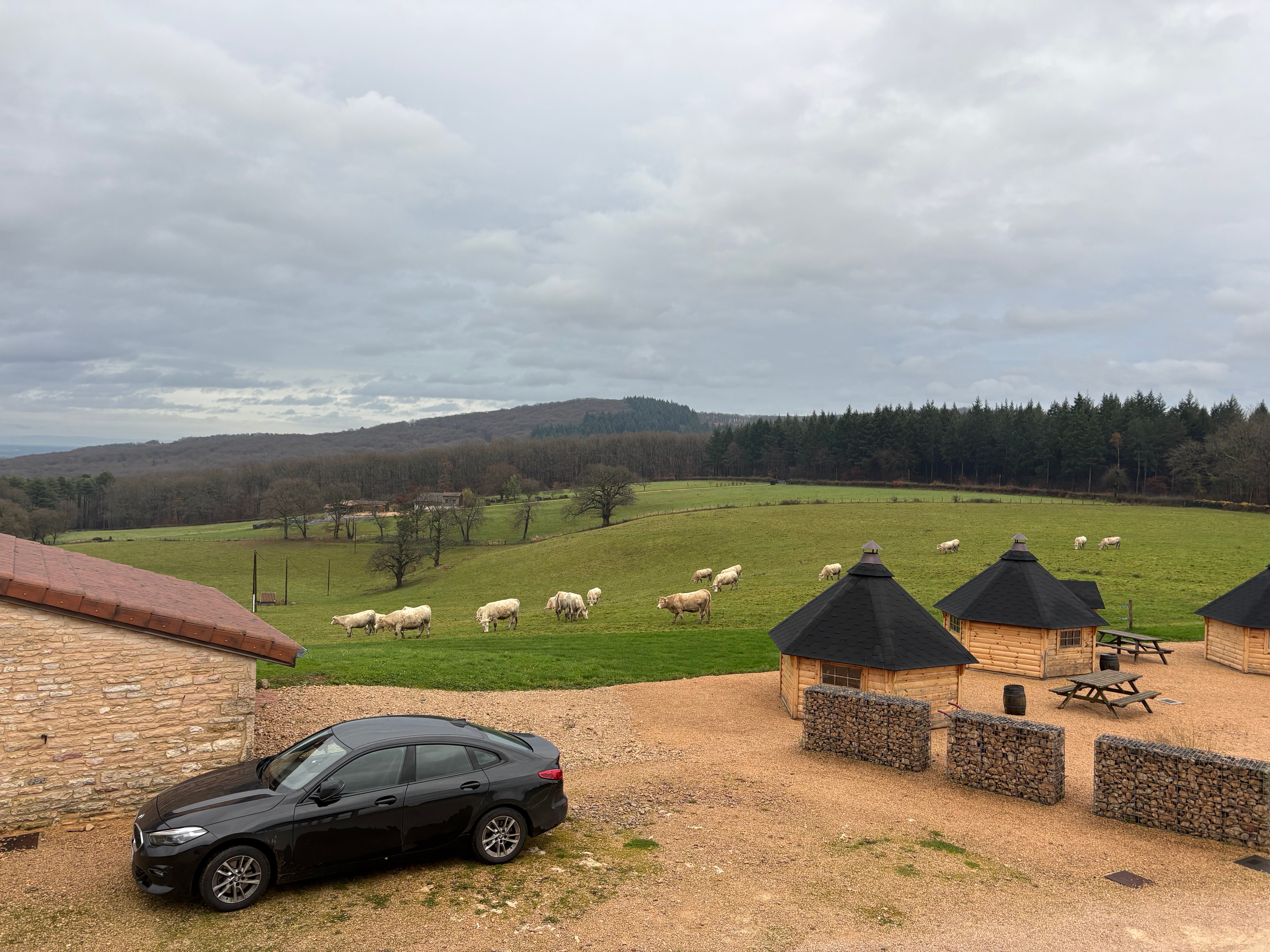 Domaine Joseph Lafarge-官方