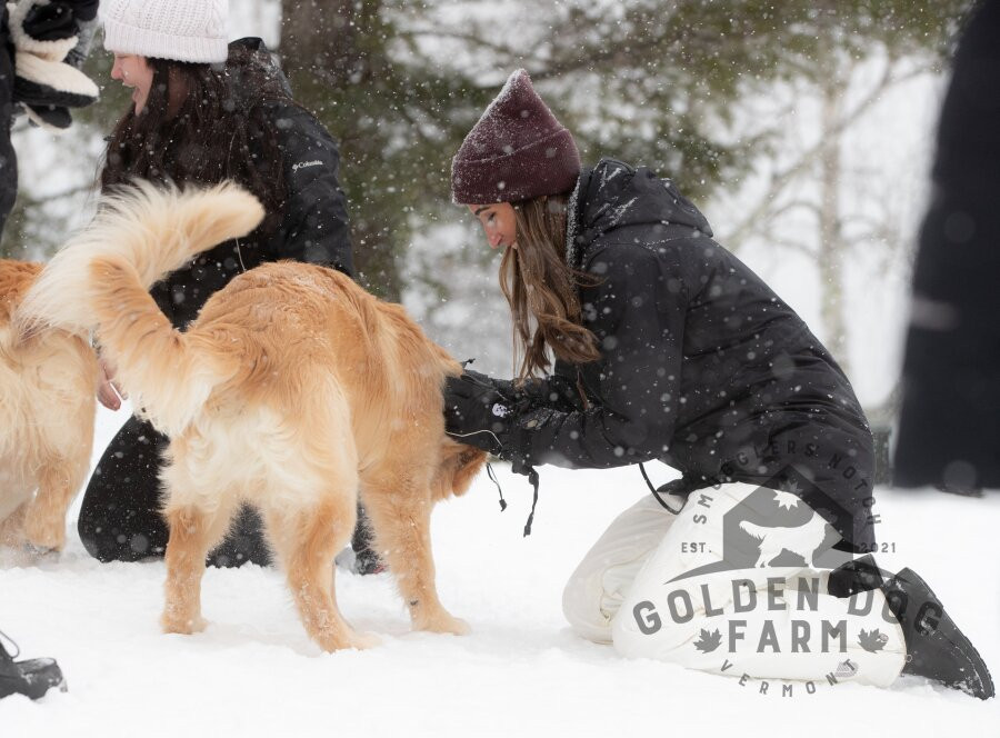 Golden Dog Farm-Jeffersonville必去景点