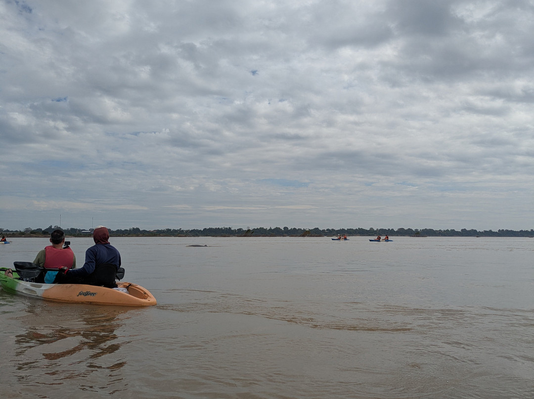 Dolphin Kayaking Adventures-Kratie必去景点