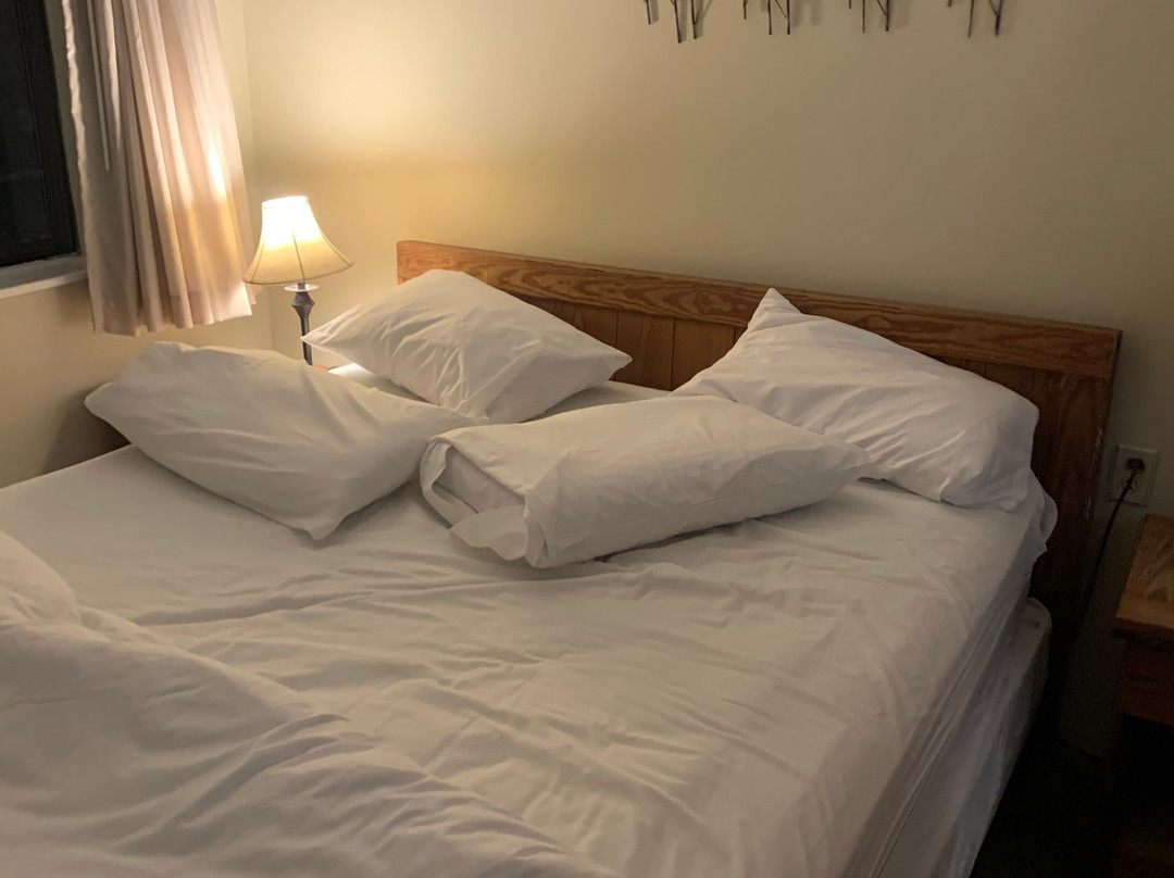 Black Bear Lodge主图