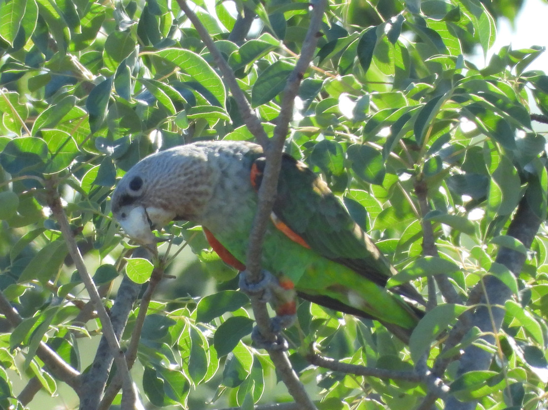 Lourie Trips & Tours-路易特里哈特必去景点