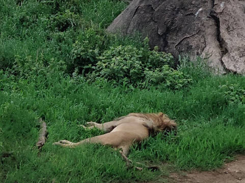 Akshar Tours And Safaris-姆万扎必去景点