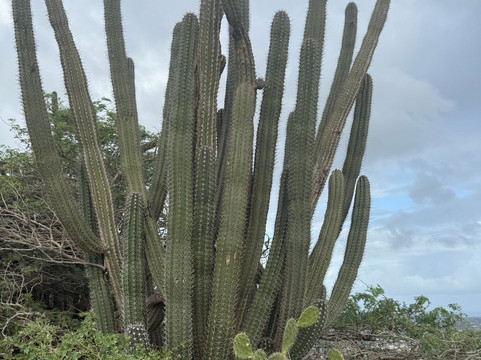 Hooiberg Hill Night Hike-奥腊涅斯塔德必去景点