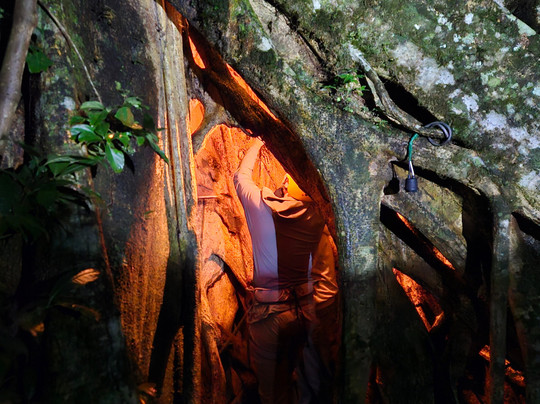 Finca Modelo Ecologica-蒙特沃德必去景点