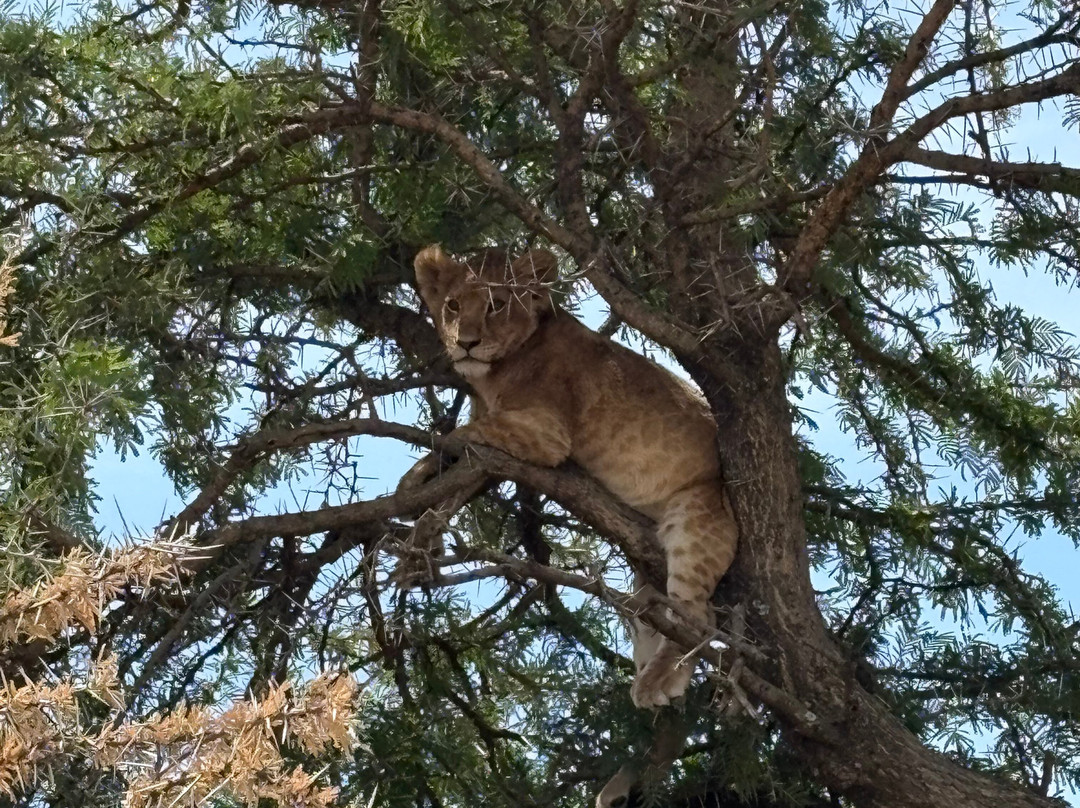 Tanzania Roadside Expeditions-阿鲁沙必去景点