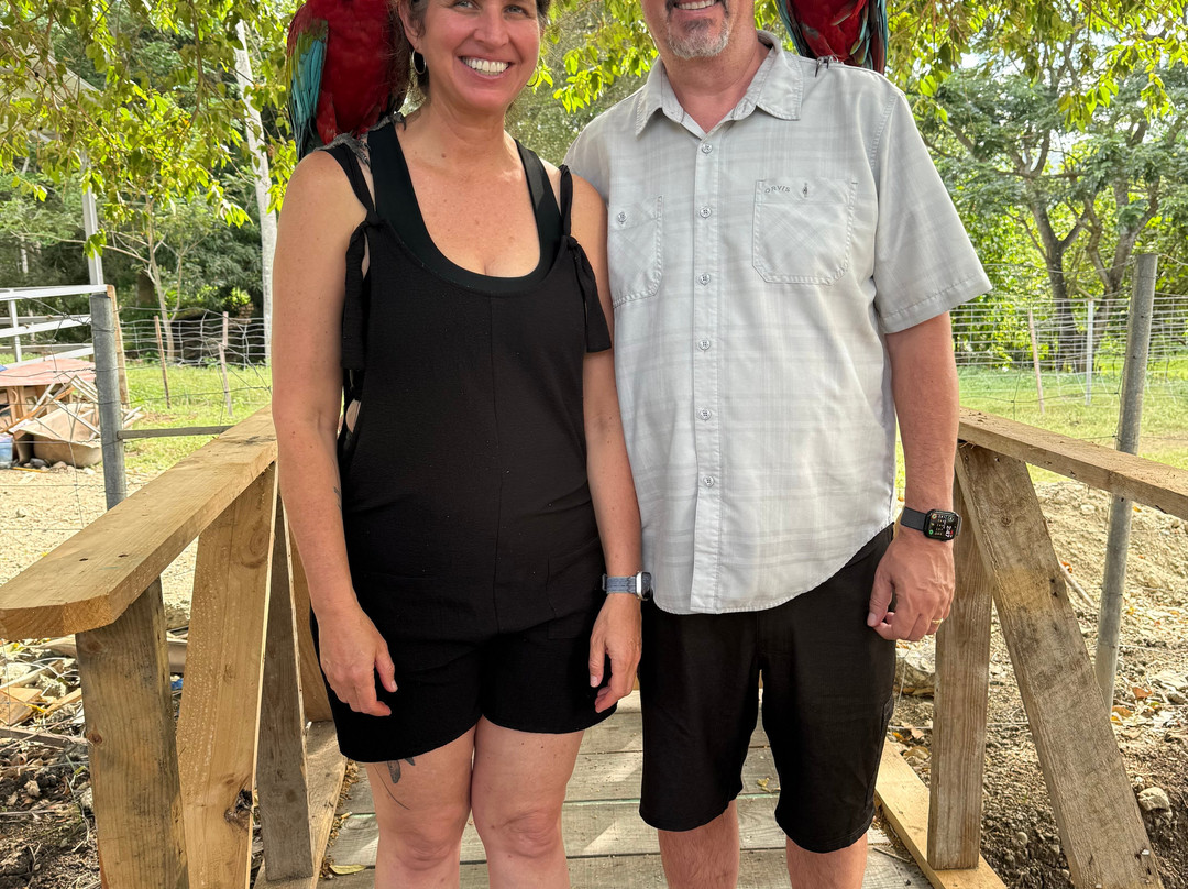 Monkey Home Puerto Plata-普拉塔港必去景点