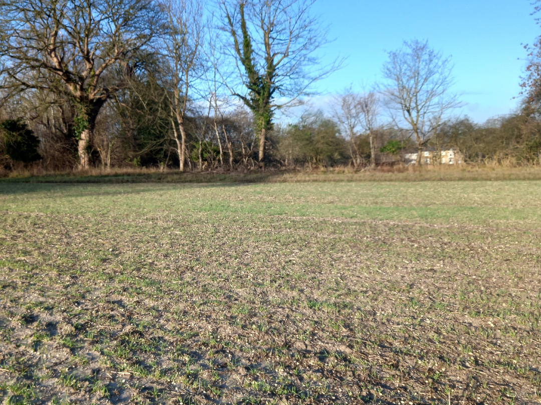 Coombe Hill-艾尔斯伯里必去景点