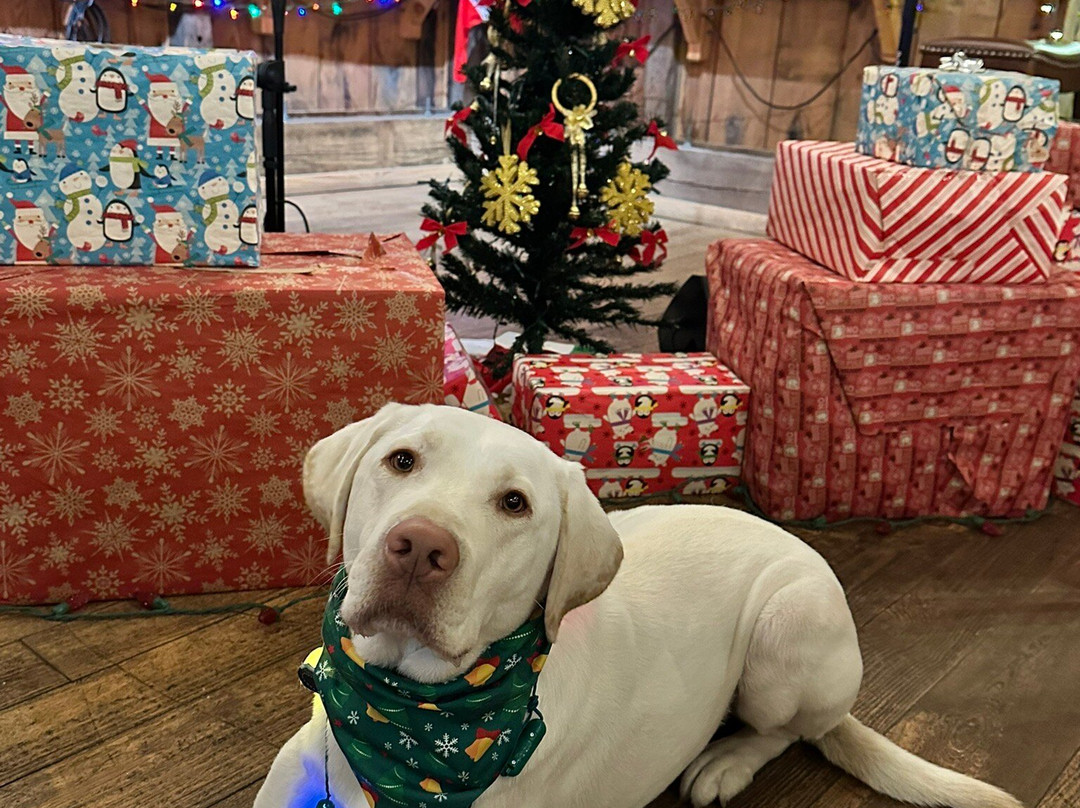 Cold Spring Brewery-Lower Township必去景点