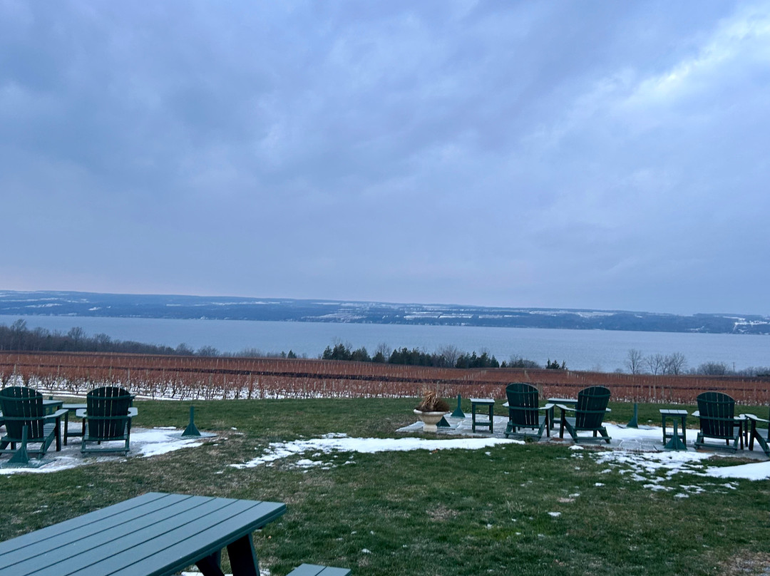 Boundary Breaks Vineyard-Lodi必去景点