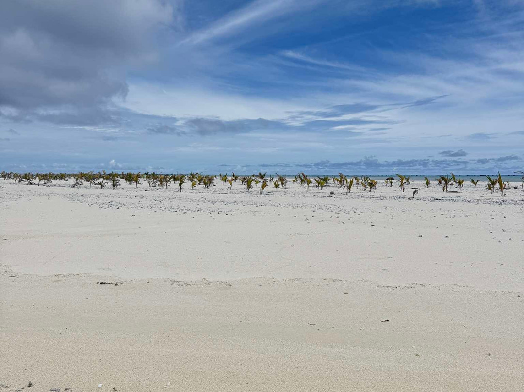 Kia Orana Cruises-Amuri必去景点