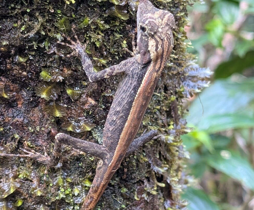By Foot Adventures Sri Lanka主图