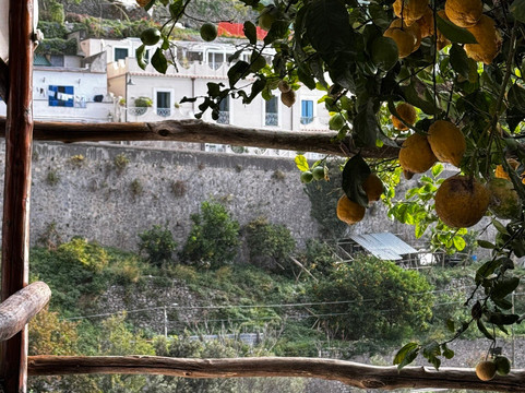 La Terrazza Dei Limoni
