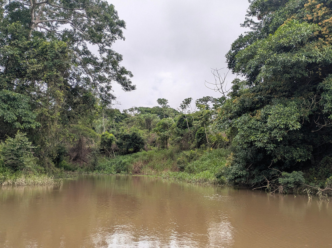 CHUCHINI Amazon Wildlife Reserve & Eco Lodge-Trinidad必去景点