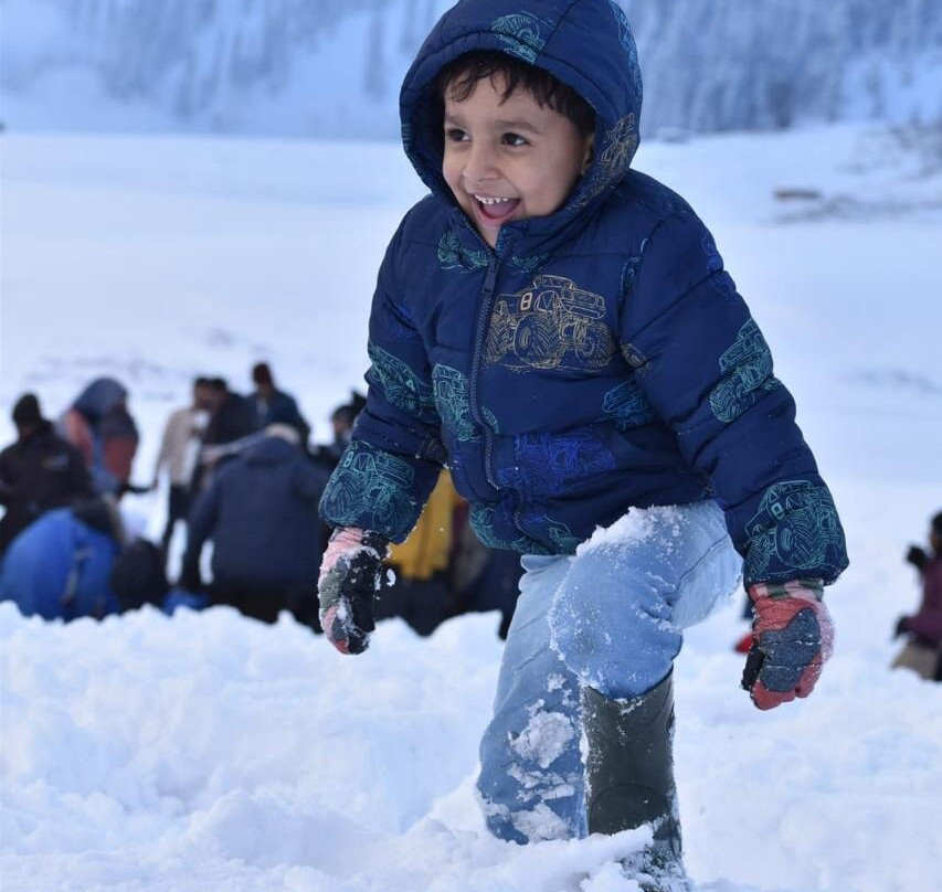 Tripmore Tour And Travels-斯利那加必去景点