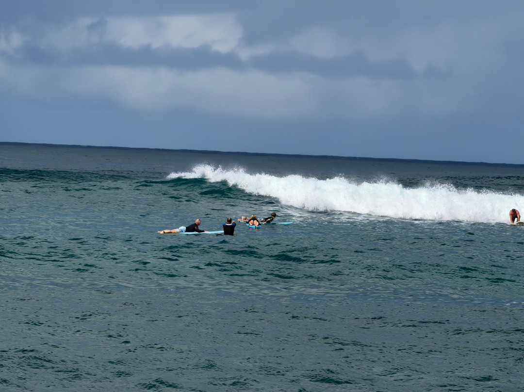 Go Nuts Hawaii-哈雷瓦必去景点