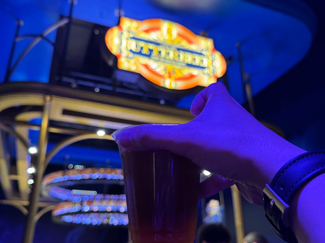 Harry Potter: Visions Of Magic Singapore-圣淘沙岛必去景点