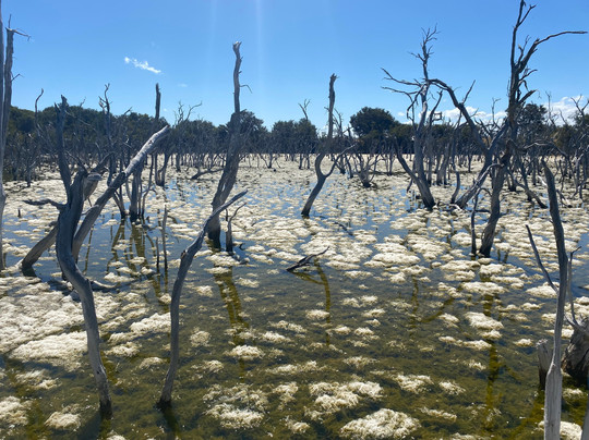 Kepwari Walk Trail-埃斯佩兰斯必去景点