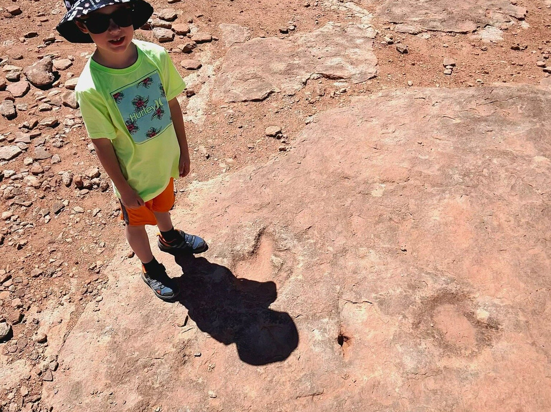 Dinosaur Tracks-蒂巴城必去景点