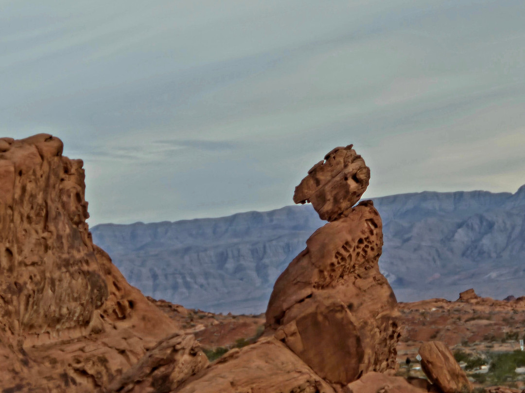 JNS Just Never Stop-拉斯维加斯必去景点