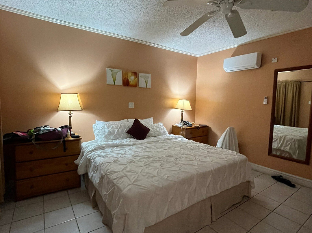 Tropical Mansion Suites主图