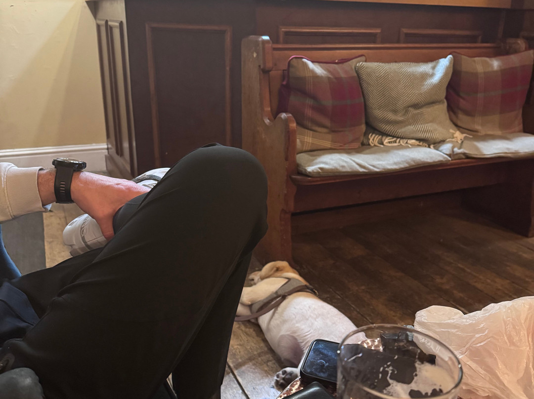 红灯笼旅馆主图