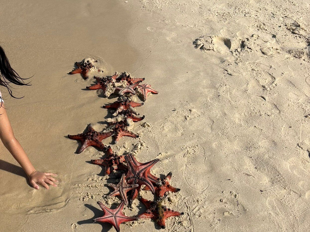 海星沙灘-Ganh Dau必去景点