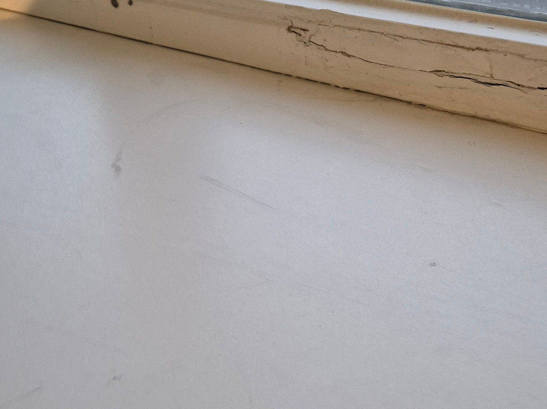 丹普木赫酒店主图