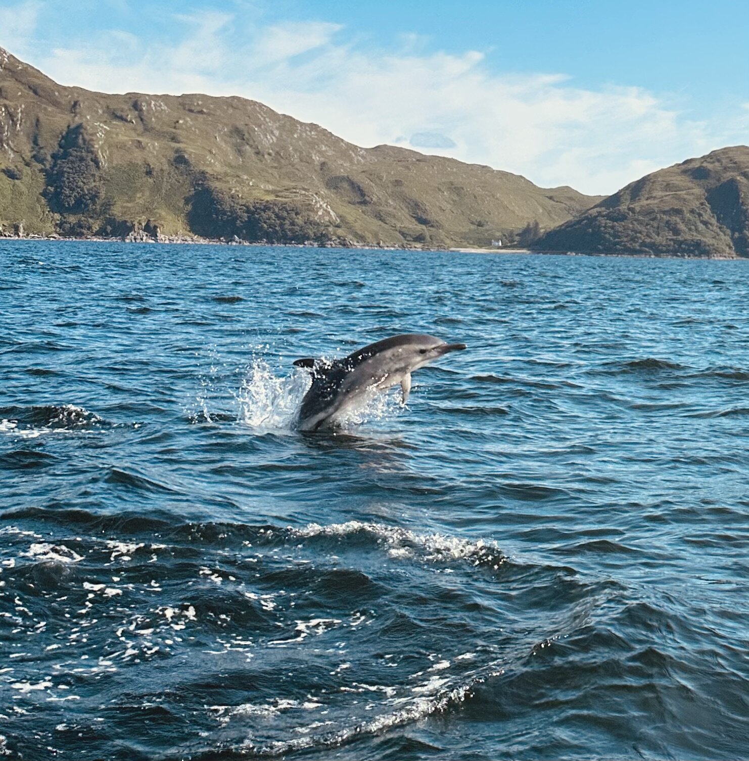 Doune Knoydart-官方