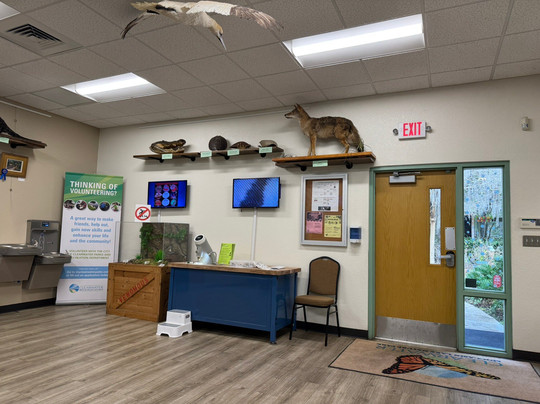 Moccasin Lake Nature Park-克利尔沃特必去景点