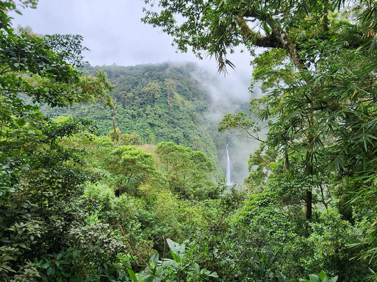 Costa Rica Adventure Club-塔马林多必去景点