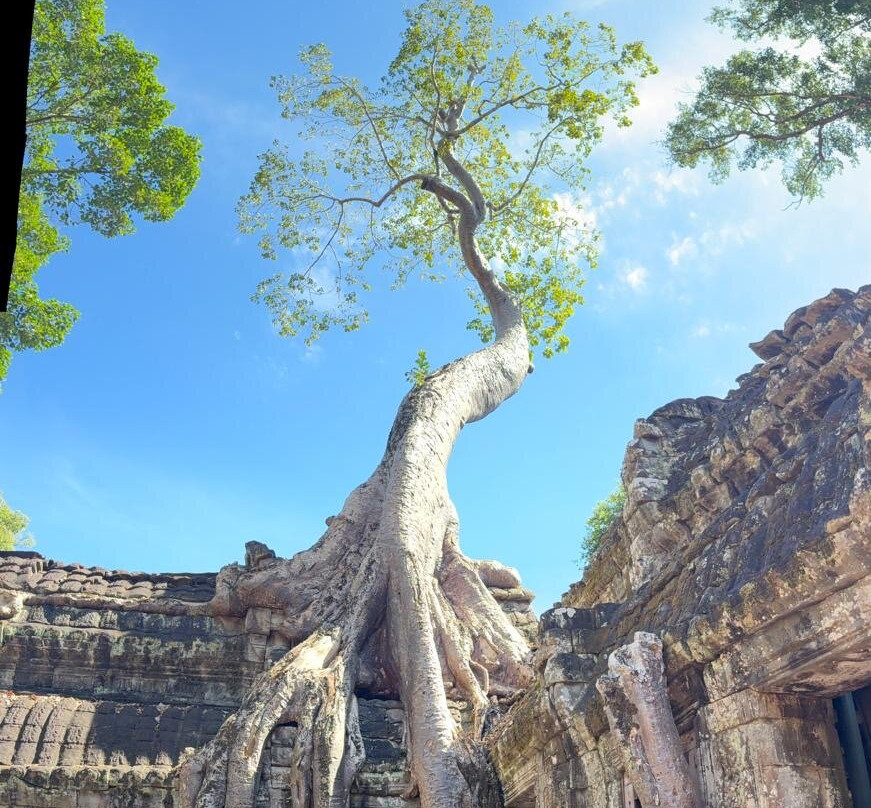 Van Express & Tours-暹粒必去景点
