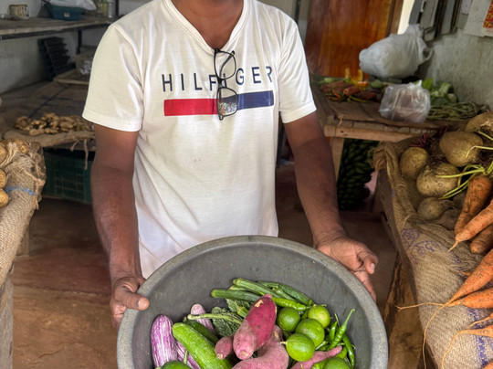Village Rider-加勒必去景点