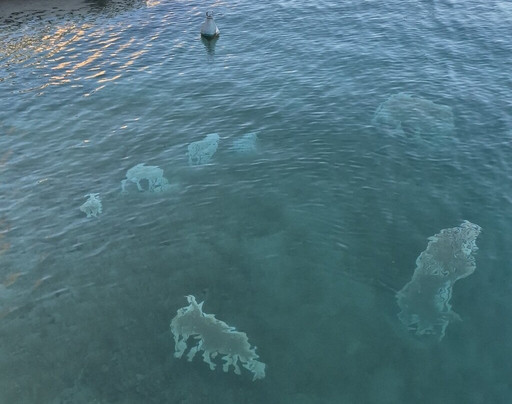 Il Padiglione degli Ufficiali-佩斯基耶拉德尔加尔达必去景点