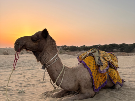 天空广场酒店主图