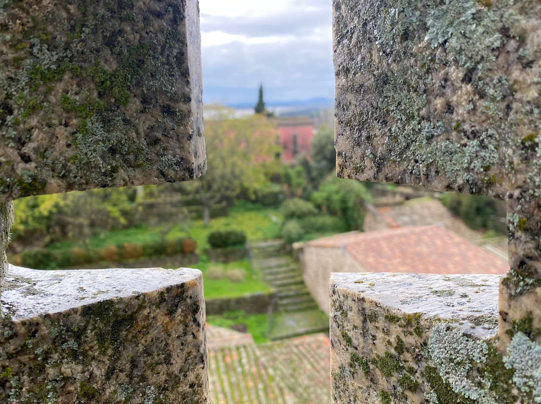 Granadilla-Zarza de Granadilla必去景点