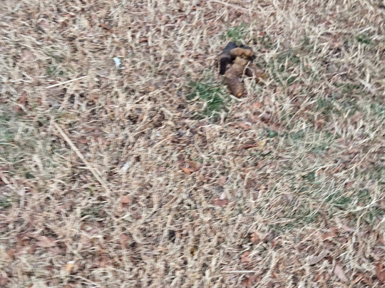 La Quinta Inn & Suites by Wyndham Baltimore N / White Marsh主图