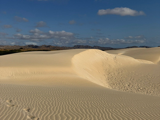 SolaCyberTours-萨尔雷必去景点