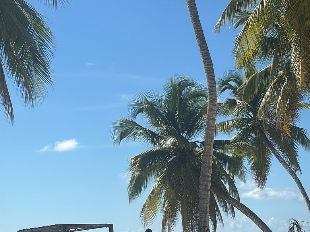 Italcruise-Bayahibe必去景点