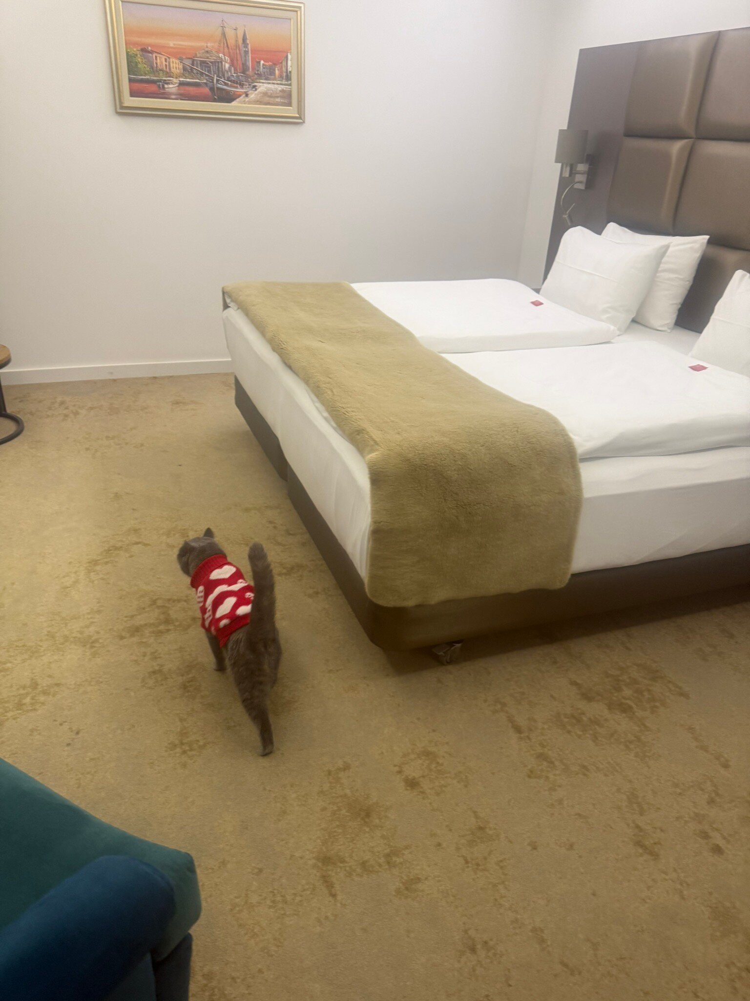 Charm Boutique Hotel-官方