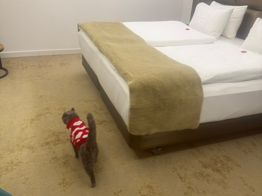 Charm Boutique Hotel主图