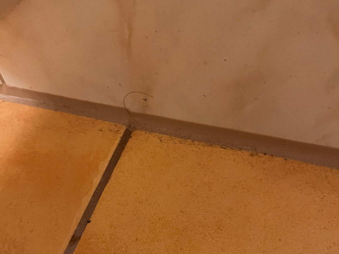 Hotel Fischer Am See主图