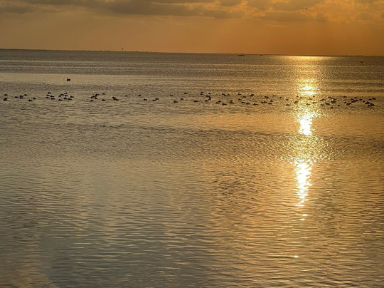 Laguna Madre Nature Trail-南帕诸岛必去景点