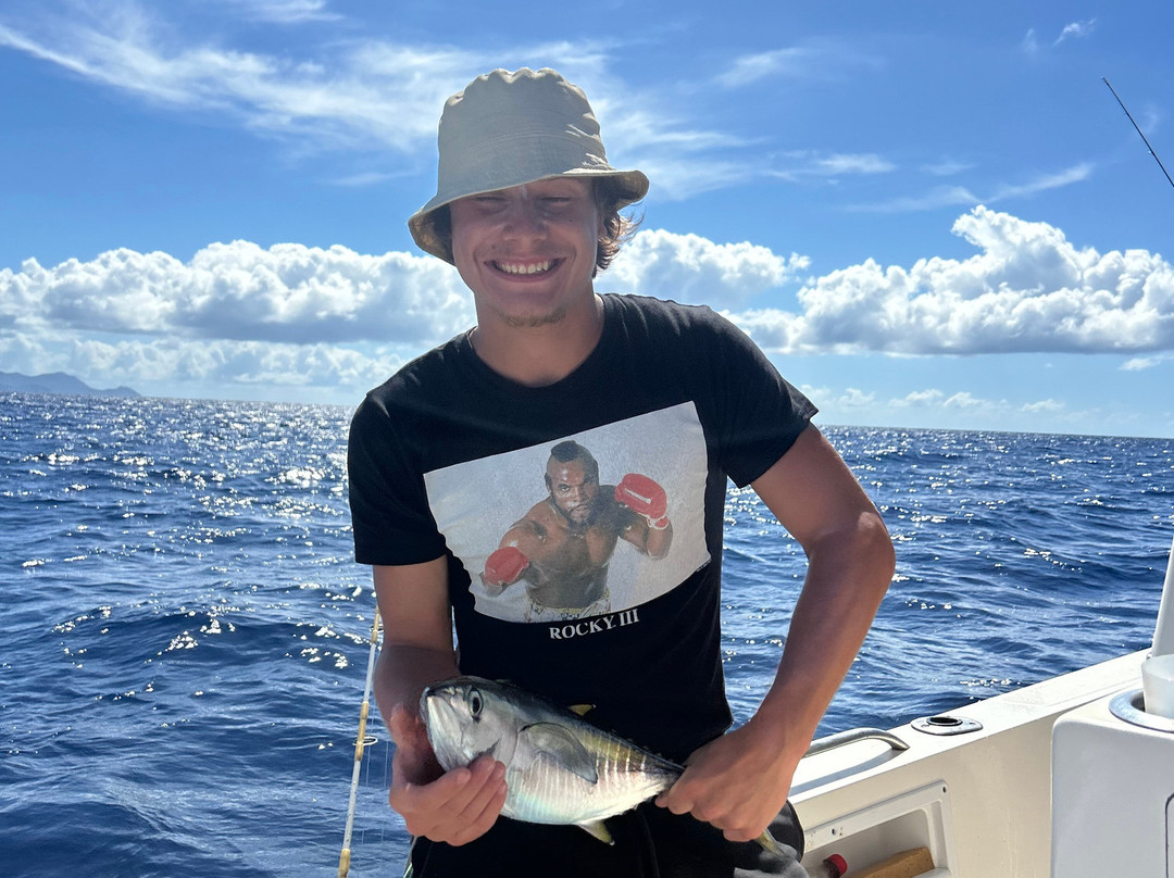 Carib Evasion-Case-Pilote必去景点